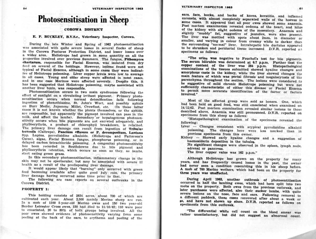 1963 Page 64 65
